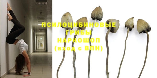 таблы Арсеньев