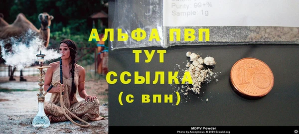 крисы Аркадак