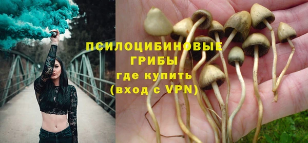 таблы Арсеньев