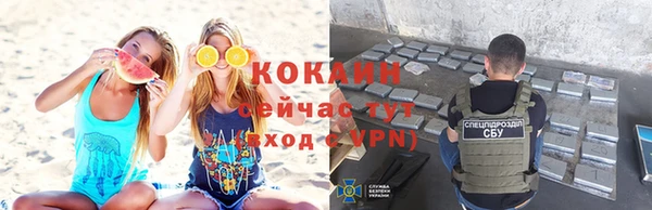 крисы Аркадак